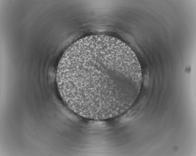 X0000093130476200710241326