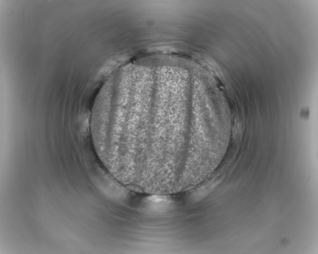 X0000093130477200710241326