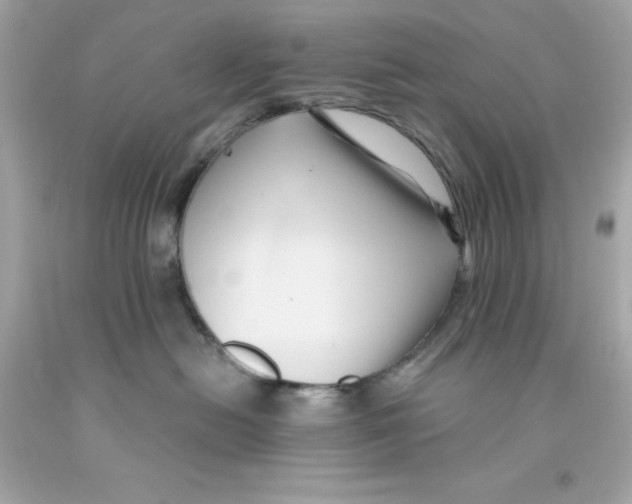 X0000093130478200710241326