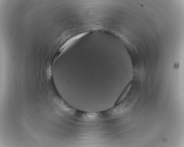 X0000093130479200710241326