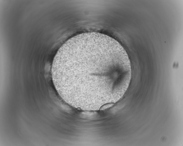 X0000093130480200710241326