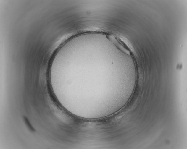 X0000093130482200710241325