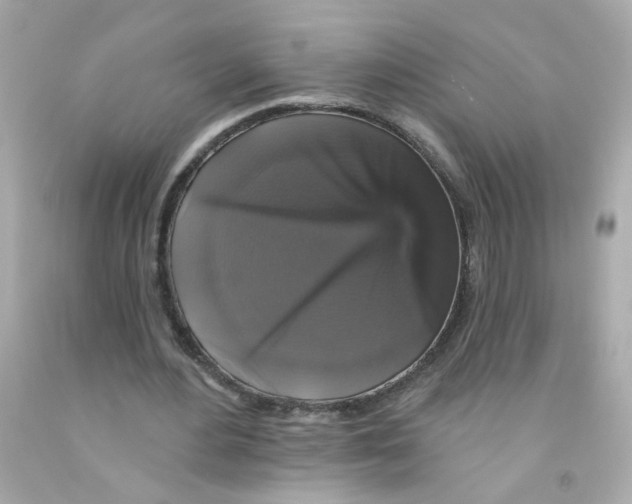 X0000093130484200710241325
