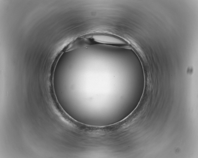 X0000093130485200710241325