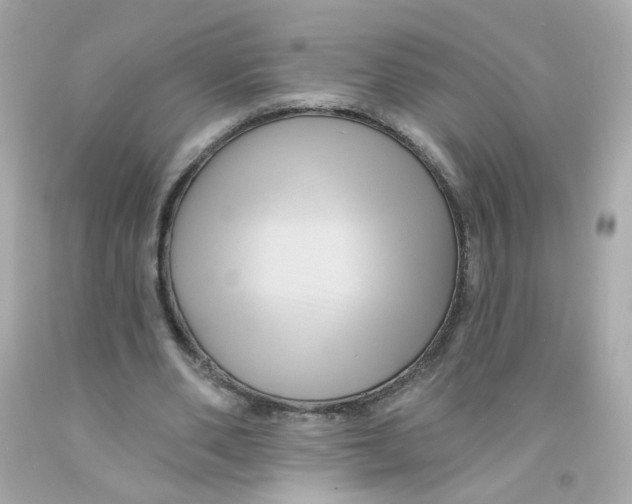 X0000093130486200710241325