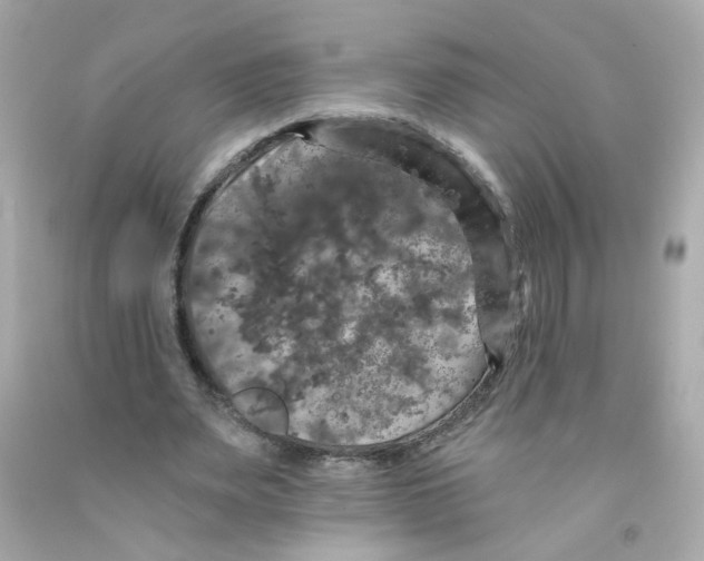X0000093130487200710241325