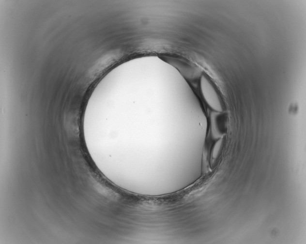 X0000093130489200710241325