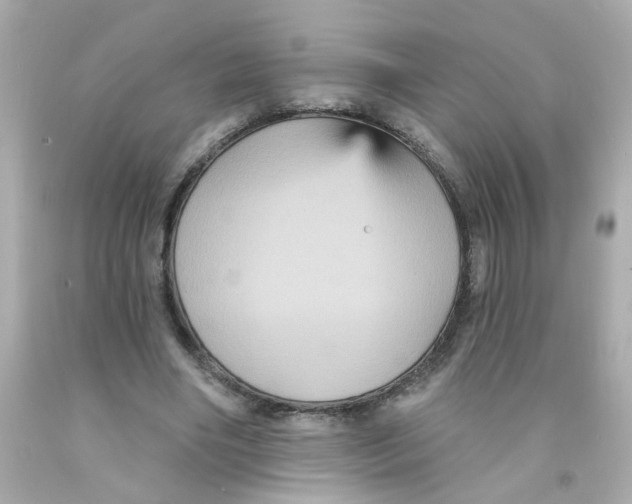 X0000093130490200710241325
