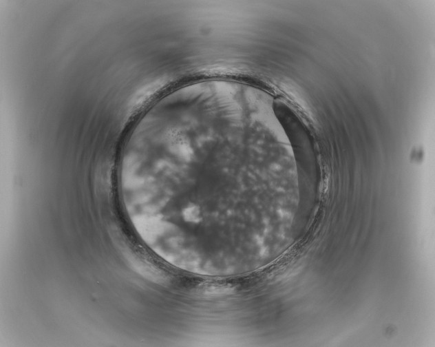 X0000093130491200710241325