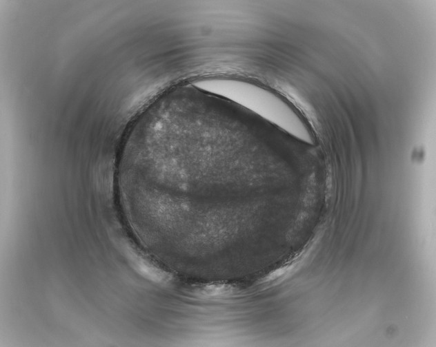 X0000093130493200710241325