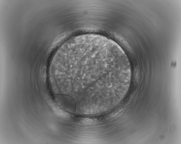 X0000093130494200710241325