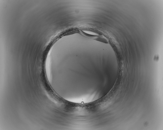 X0000093130496200710241325