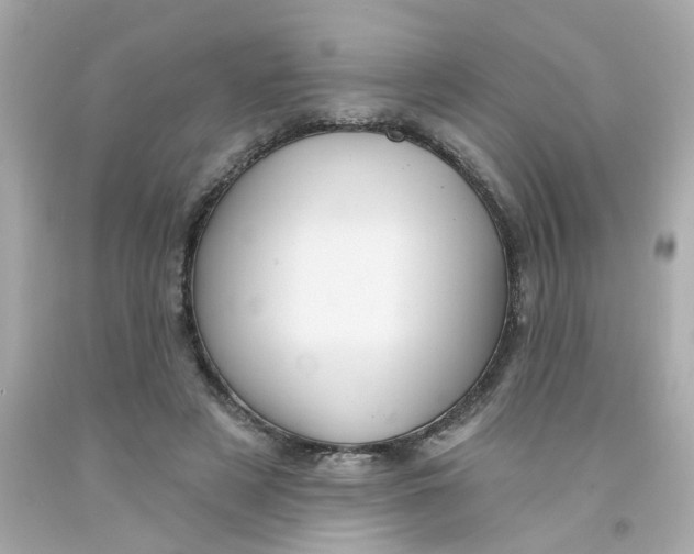 X0000093130497200710241325