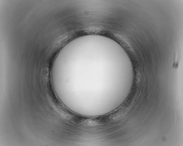 X0000093130498200710241325