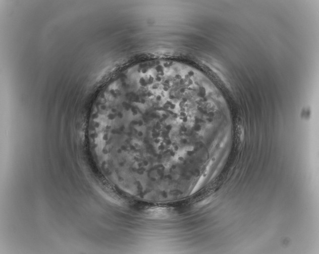 X0000093130499200710241325