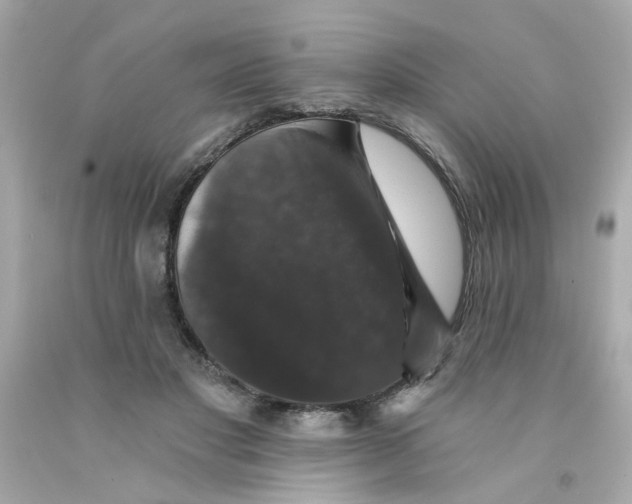 X0000093130501200710241325