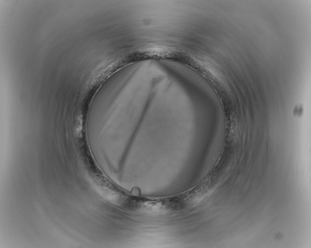 X0000093130502200710241325