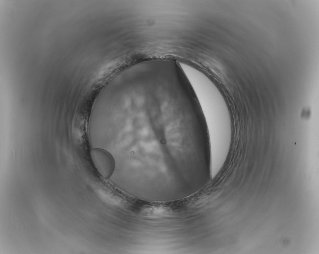 X0000093130503200710241325