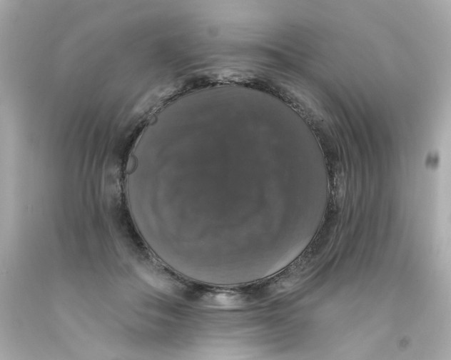 X0000093130506200710241325