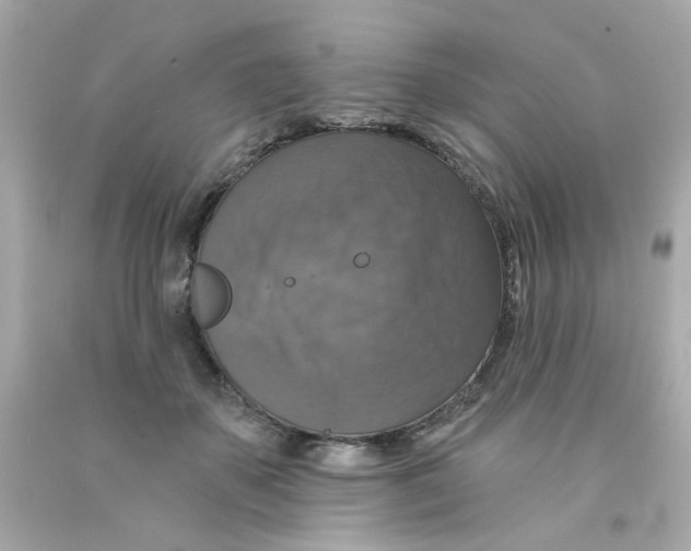 X0000093130507200710241325