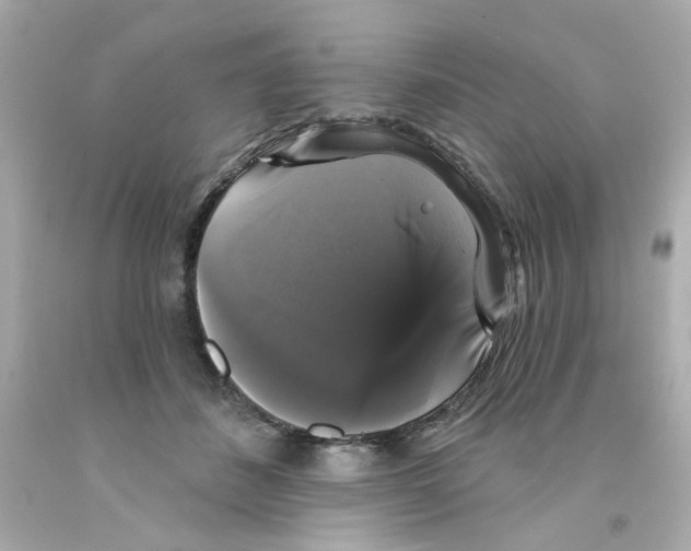 X0000093130508200710241325