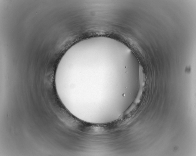 X0000093130509200710241325