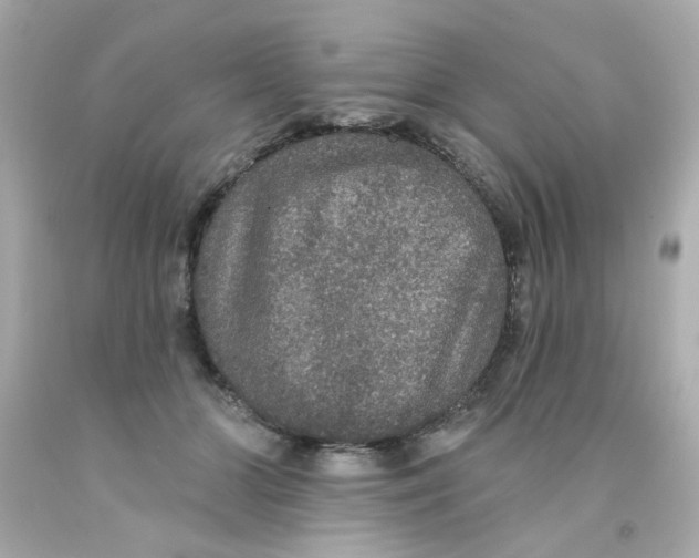 X0000093130510200710241325