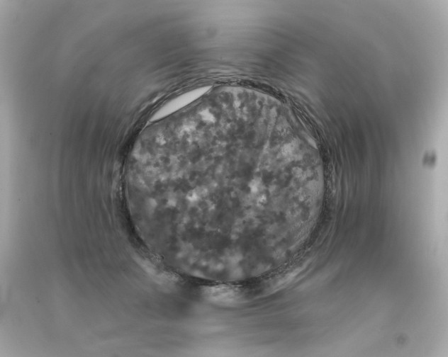 X0000093130511200710241325