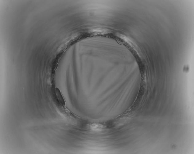 X0000093130512200710241325