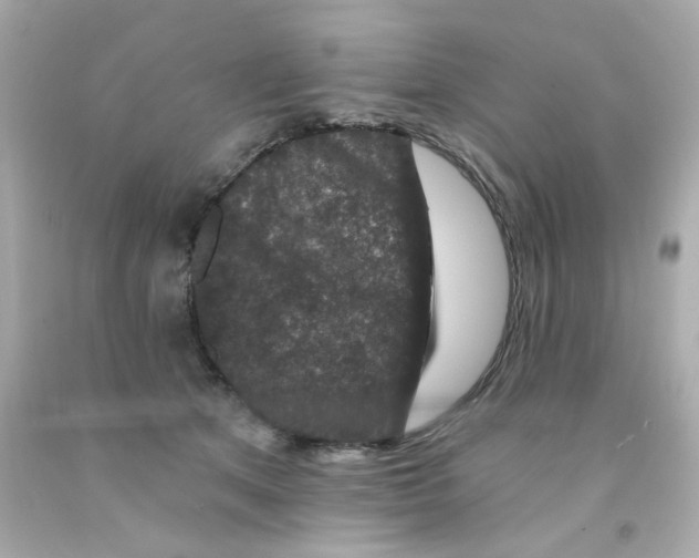 X0000093130513200710241325