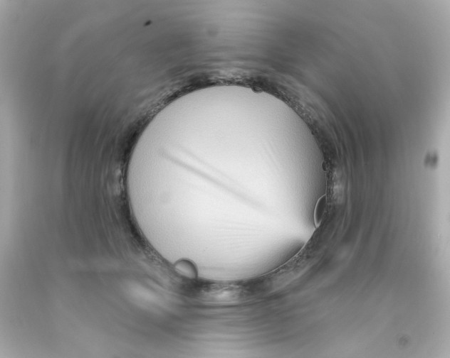 X0000093130514200710241325