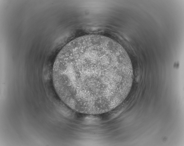 X0000093130515200710241325