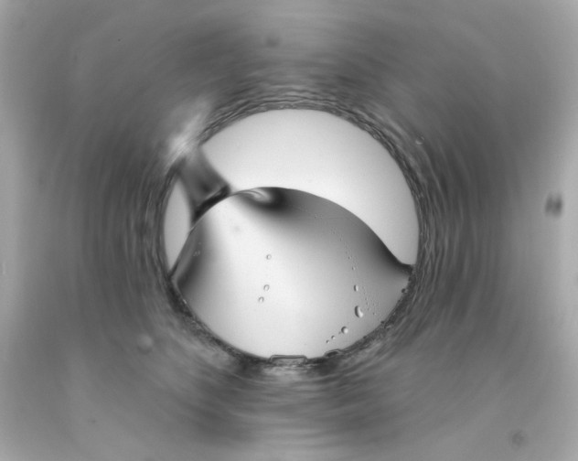 X0000093130516200710241325