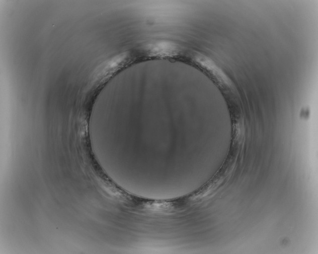 X0000093130517200710241325