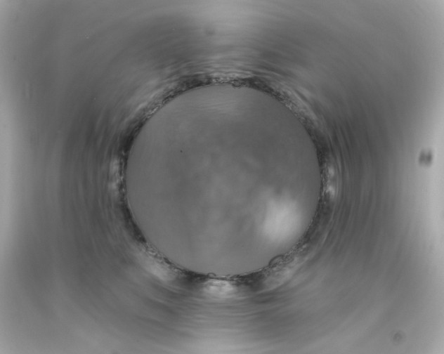 X0000093130519200710241325