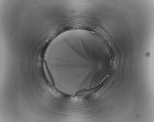X0000093130520200710241325