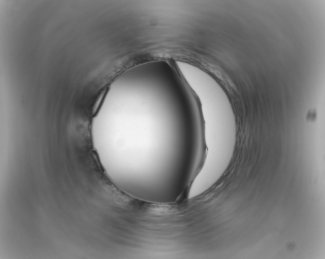 X0000093130521200710241325