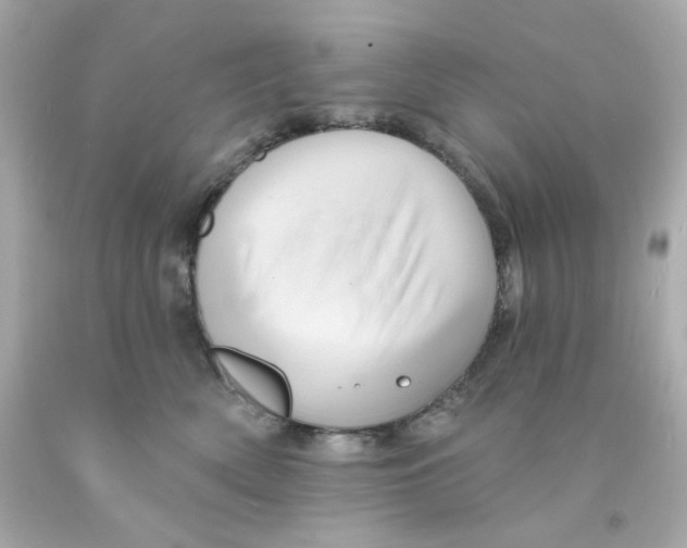 X0000093130522200710241325