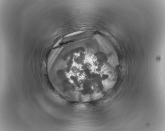 X0000093130523200710241325