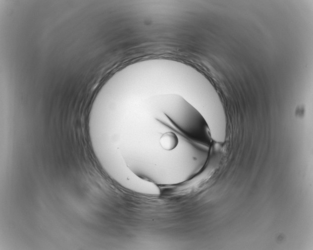 X0000093130524200710241325