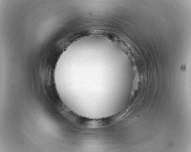 X0000093130525200710241325
