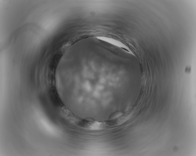 X0000093130527200710241325
