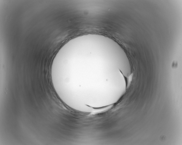 X0000093130528200710241325