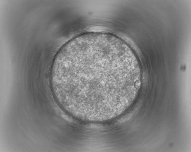 X0000093130529200710241324