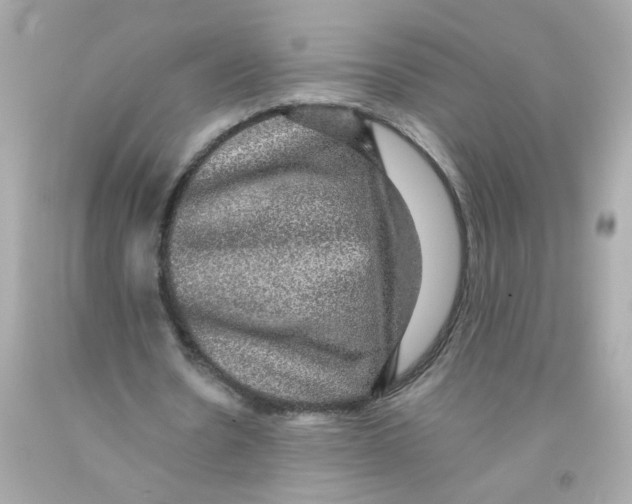X0000093130530200710241324