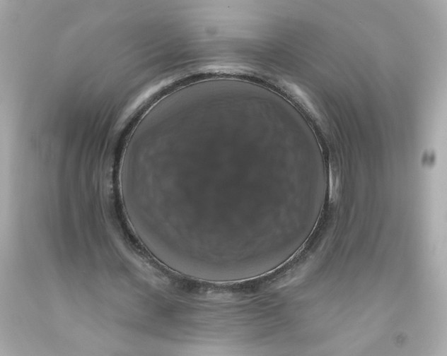 X0000093130531200710241324