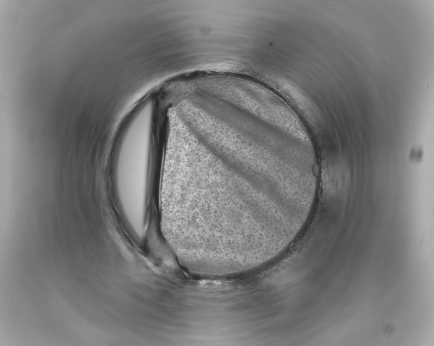 X0000093130532200710241324