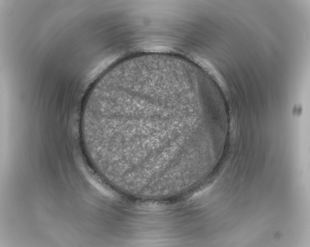X0000093130533200710241324