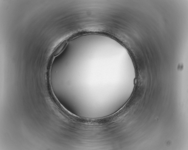 X0000093130535200710241324
