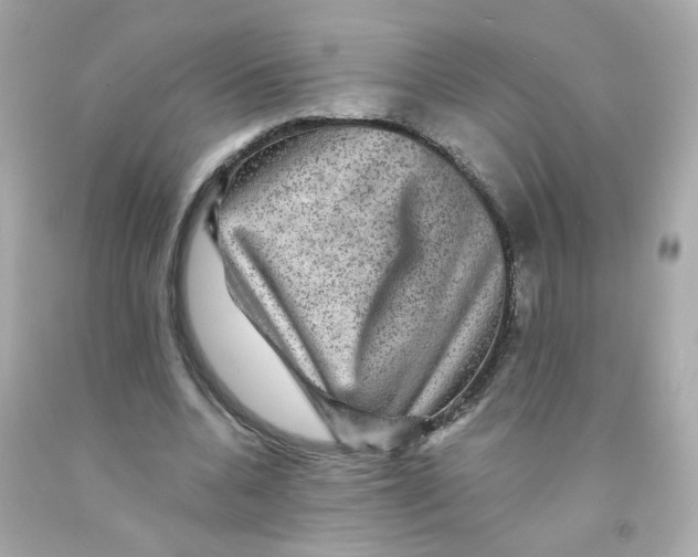 X0000093130536200710241324